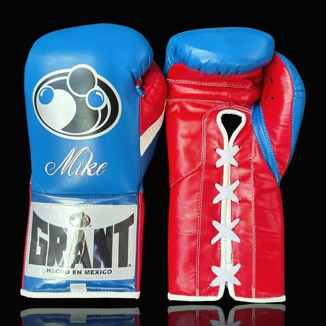 Grant Blue/Red/White Boxing Gloves Premium Gym Training Pair