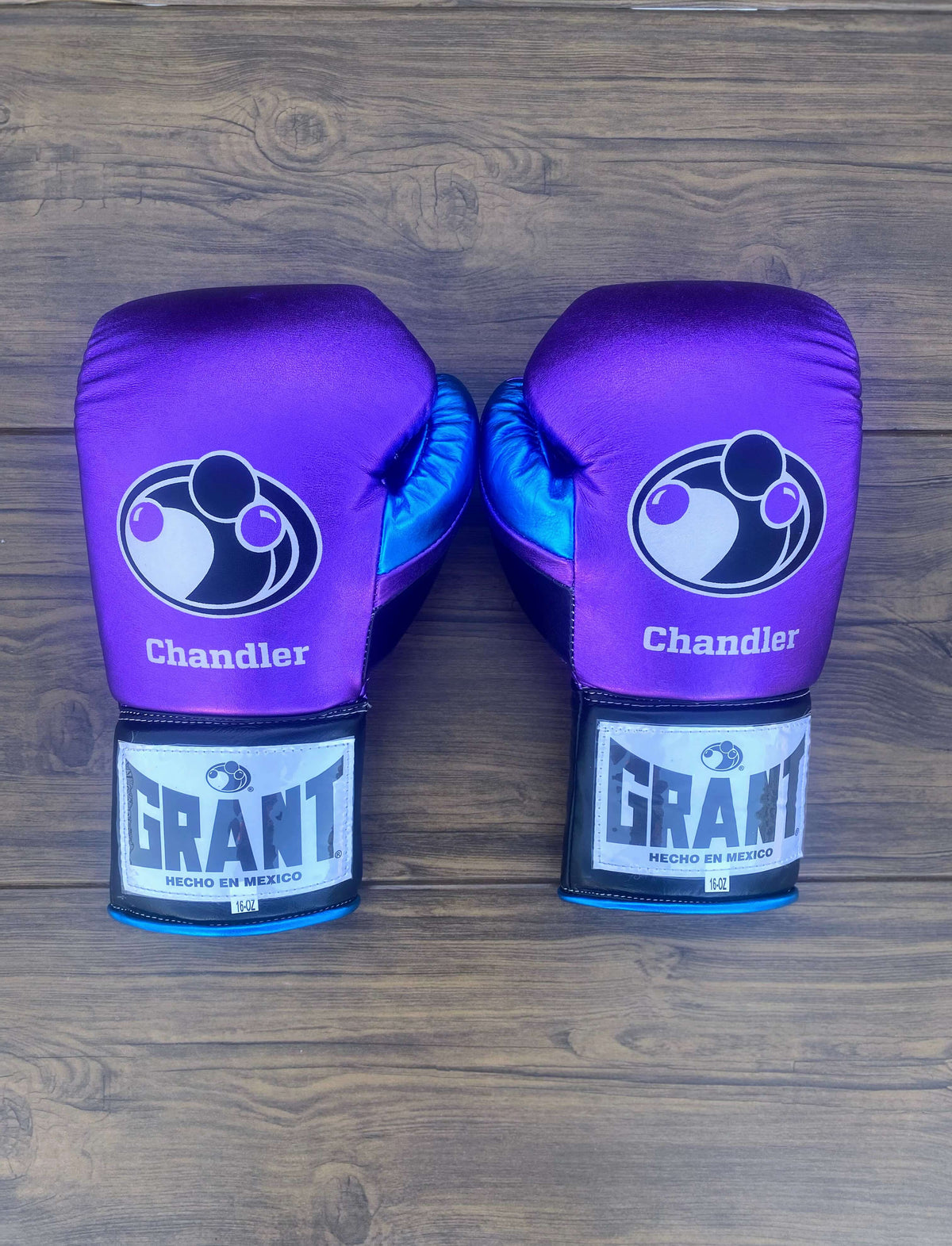 Grant Boxing Gloves Purple/Black/Blue Leather Gloves Back View
