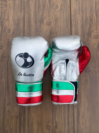 Grant Boxing Sets Silver/Red/Green Leather Boxing Gloves Front View