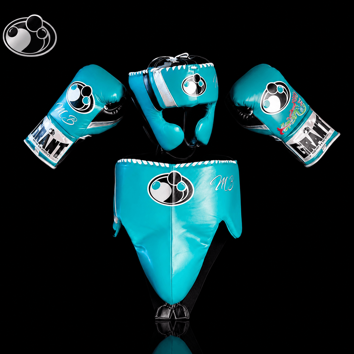 Grant Boxing Gloves Set Sky-Blue/Black/Silver Heavy Duty Training Collection