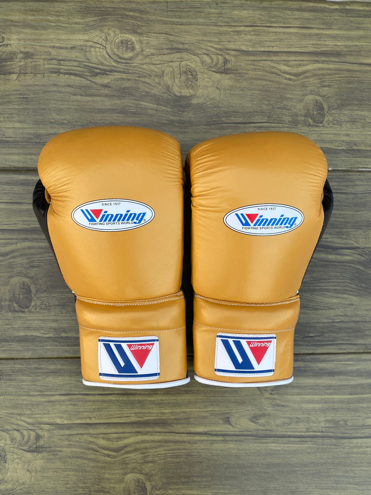 www championship,winnings boxing gloves,winnings boxing,winning velcro gloves,winning velcro glove,winning usa,winning uk,winning open face head guard,winning open face head guard,Winning Leather gloves,winning laceup gloves,winning japan,Winning head guard,Winning Groin guard,Winning Gloves,winning china,Winning Boxing set,Winning boxing gloves set,winning boxing gloves,winning boxing glove,Winning Boxing Gear,Winni,where to buy grant boxing gloves,wedding gifts,wedding gift gift,Wedding Gift,Valentine Gif