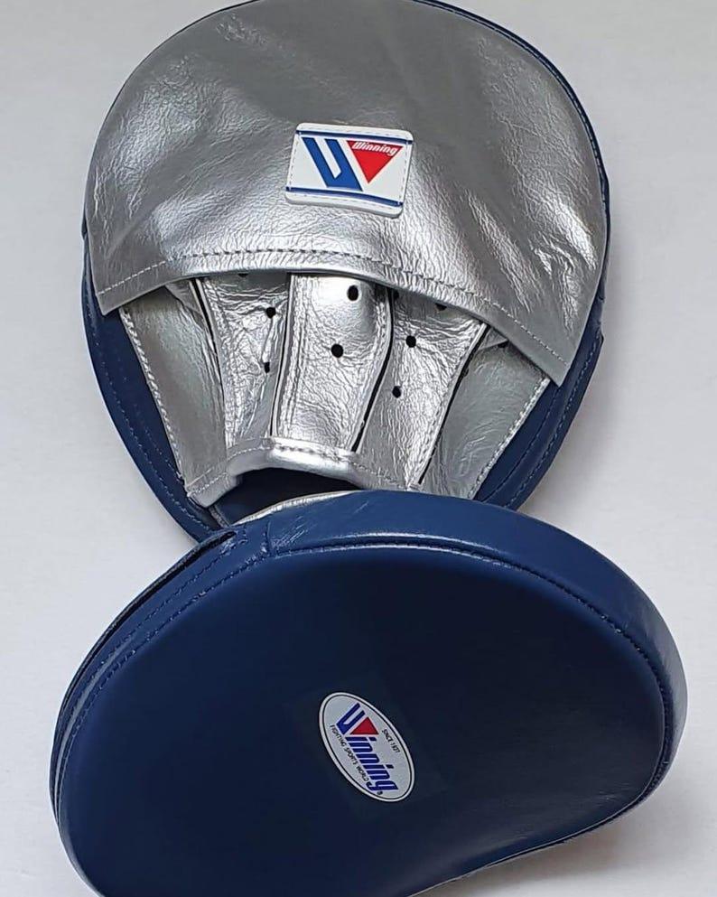 Boxing Punching Mitts Silver/Blue