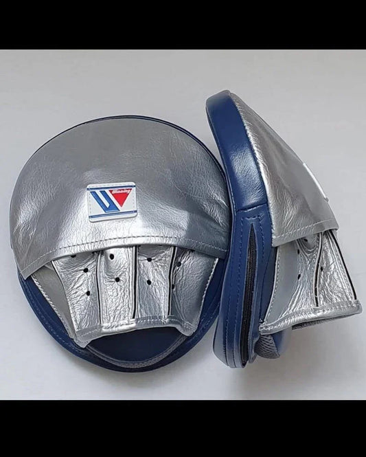 Pair of silver boxing pads with a blue border on a white background