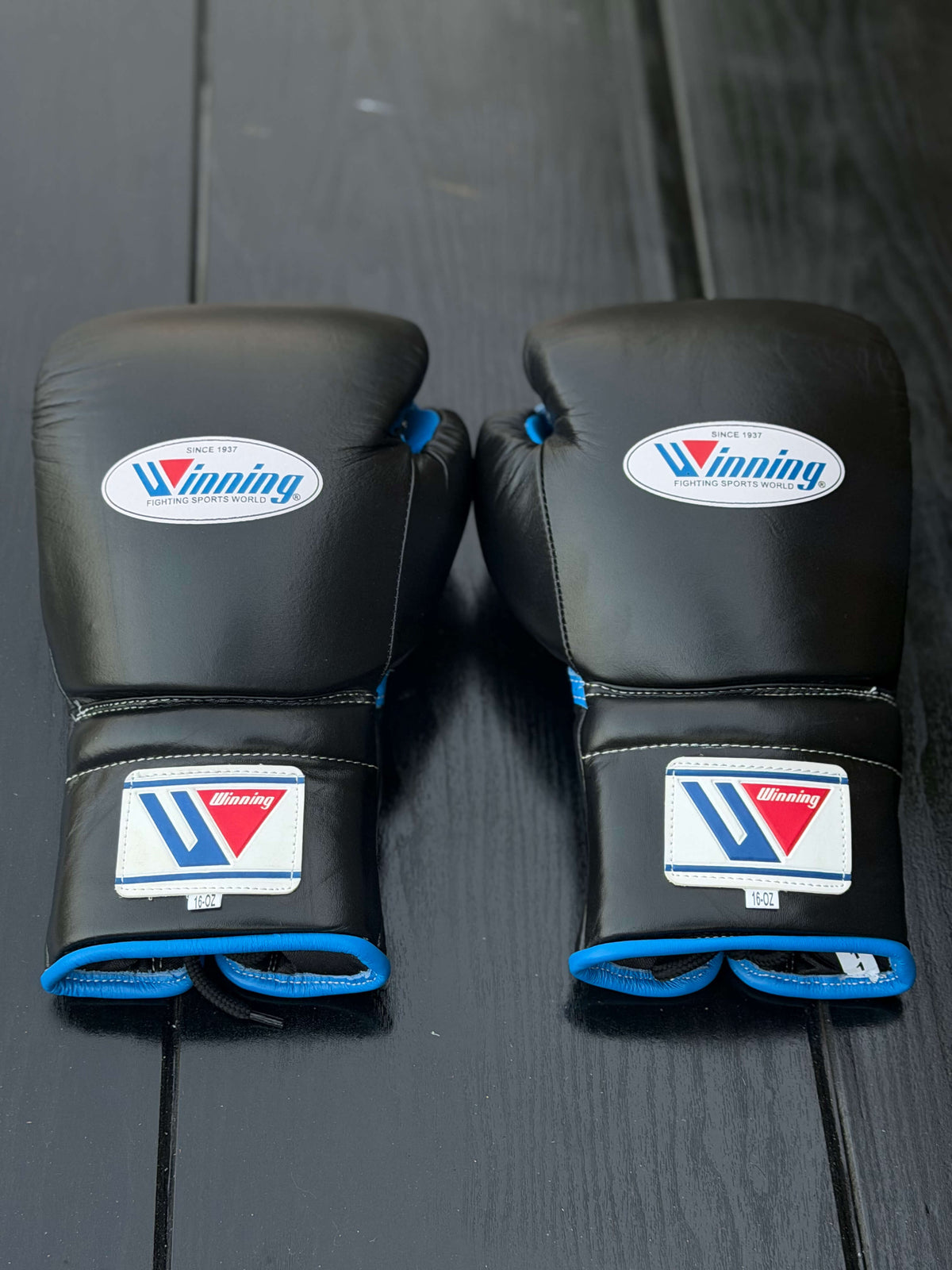 Winning Boxing Sets Blue/Black Leather Gloves Back View