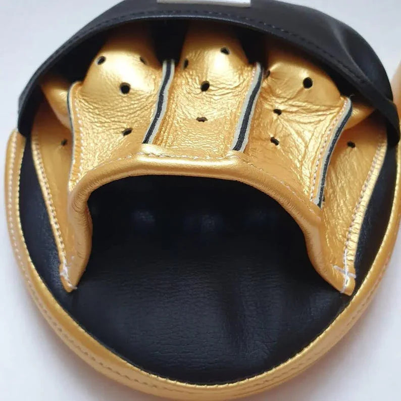 Winning Black Gold Professional Focus Pads gloves view